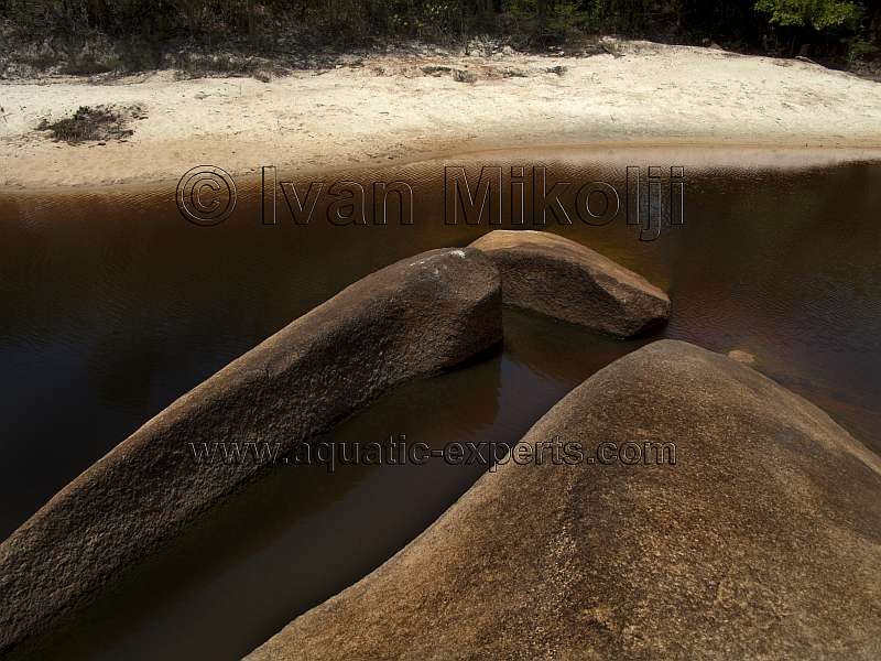 rios del estado amazonas